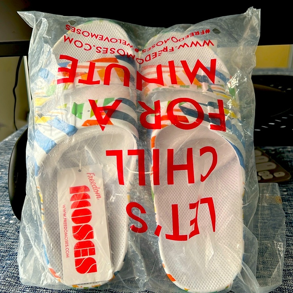 Freedom Moses Slides